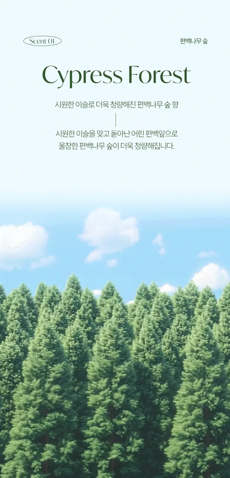[탈취만족100%] 라운드어라운드 편백 클린 스프레이160ml/리필기획 상세페이지 16